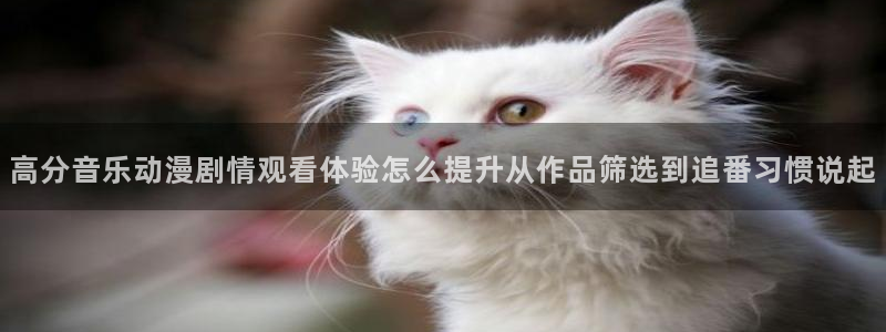 喵趣漫画更新列表：高分音乐动漫剧情观看体验怎么提升从作品筛选到追番习惯说起配图