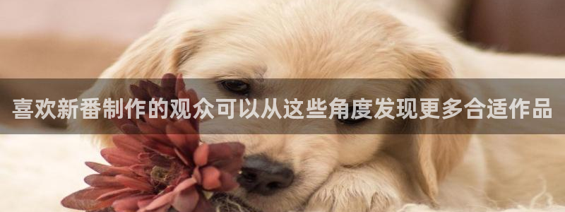 喵趣漫画作品推荐:喜欢新番制作的观众可以从这些角度发现更多合适作品配图