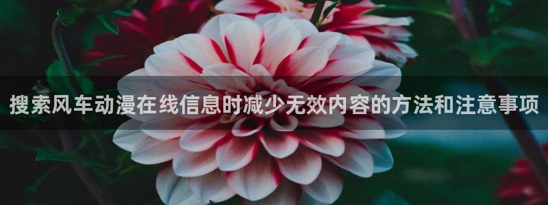 喵趣漫画连载排行榜:搜索风车动漫在线信息时减少无效内容的方法和注意事项配图