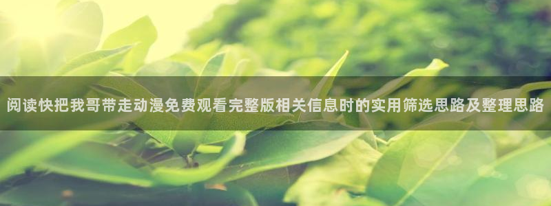 喵趣漫画全部章节:阅读快把我哥带走动漫免费观看完整版相关信息时的实用筛选思路及整理思路配图